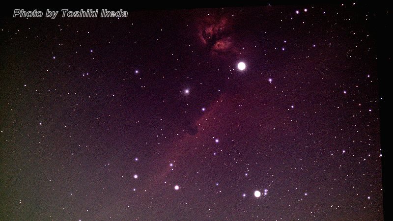馬頭星雲.jpg